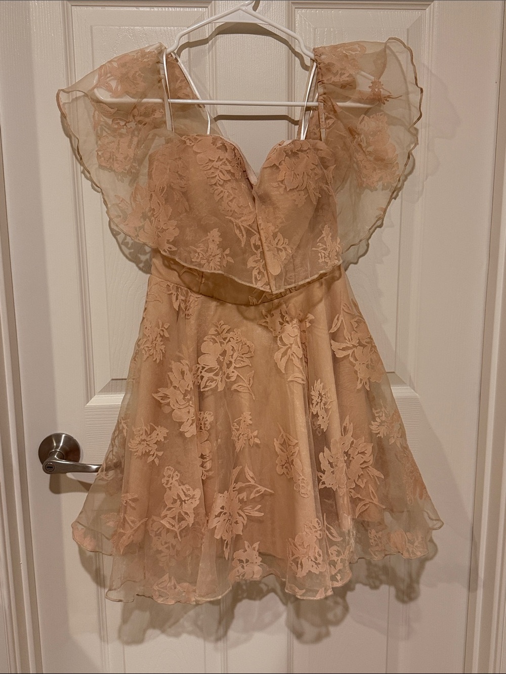 Showpo Blush Floral Lace Mini Dress